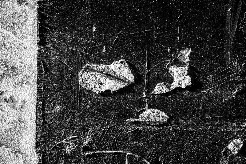 2014 02 06 Abattoir Vesoul IMG 8638